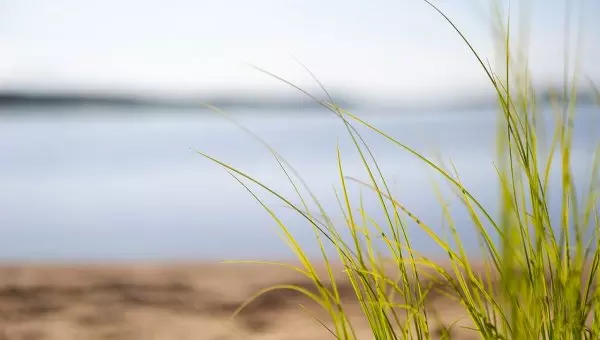 Kestävä kehitys ja pienempi hiilijalanjälki keskeisenä osana Finncontin toimintaa