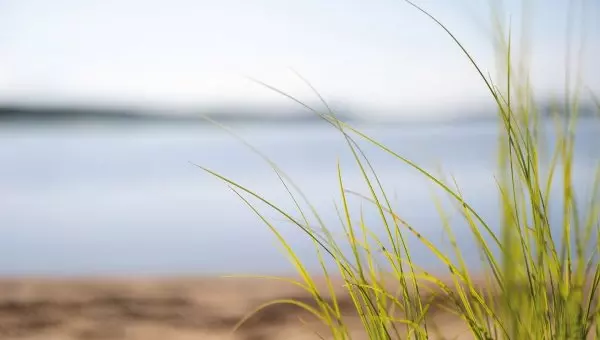 Uusi jätelaki on täällä!