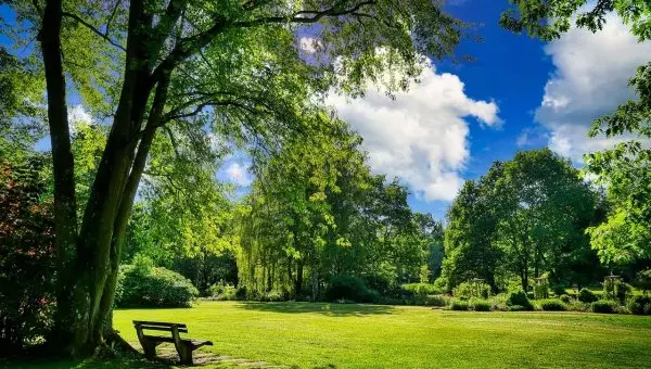 Tulevat lakimuutokset koskien kaupungin siisteyttä ja viihtyvyyttä
